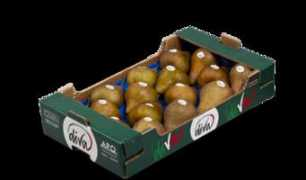 Pere