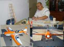 towerhobbies.com Pereiraa