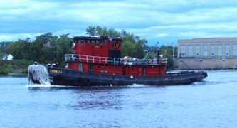 tug44.org Pericone