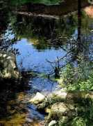 pedresdegirona.com Pericot