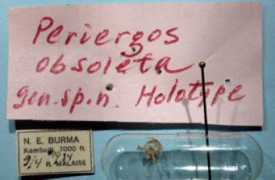 .nrm.se Periergos