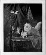 chestofbooks.com Perilleux