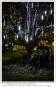 blog.athos99.com Periole