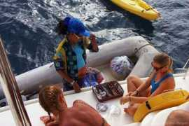 bvipirate.com Perlene