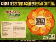 dforceblog.com Permacultura