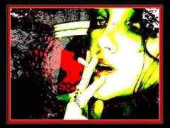 tucoo.com Pernicious