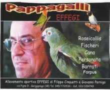 aosverona.it Pernigo