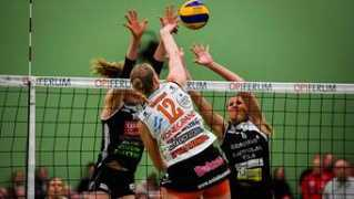 iltasanomat.fi Perpo