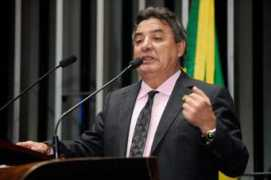 tribunaonline.com.br Perrella