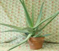 perso.lcpc.fr Perriollat