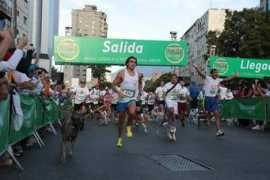 entornointeligente.com Perroton