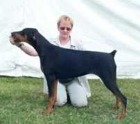 hartridgedobesandbalinese.co.uk Perryn