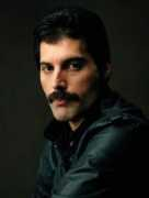 blogs.vandal.net Persianboy