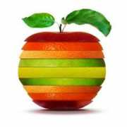 aurionscuola.org Persone