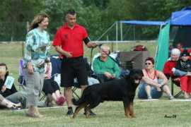 elisanet.fi Pertille