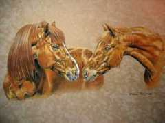 leenashorses.com Pertti