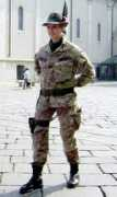 alpini.torino.it Pertusio
