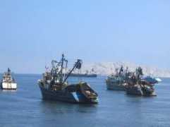Pesca
