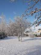 Pessac