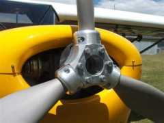 spina-bac.biz Peszke