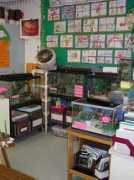 teacherwebshelf.com Petcenter