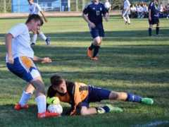 theintelligencer.net Petchel