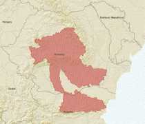 ittiofauna.org Petenyi