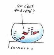 chimulus.blogs.nouvelobs.com Peteur