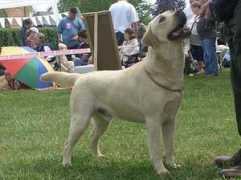 port.of.nessie.retriever.hu Pethoe