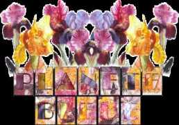 bleue11.free.fr Petitefleur