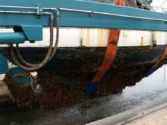 hillyardyachts.com Petmar