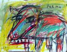 Petme