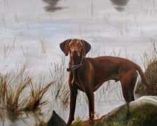 Petportraits