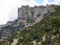 panoramio.com Petrea