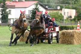 equichannel.cz Petrek