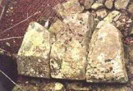 romanbritain.freeserve.co.uk Petriana