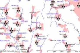 crestinortodox.ro Petricica