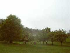 lucy.troja.mff.cuni.cz Petrin