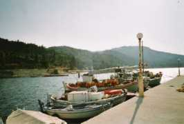 Petriti