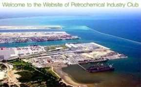 Petrochemical