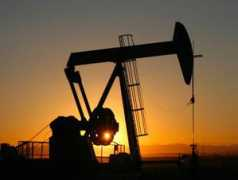 entornointeligente.com Petrolero