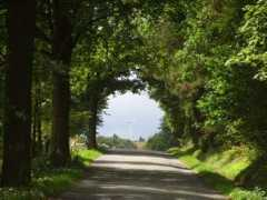 panoramio.com Petrovice