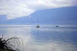 photoforum.ru Petrovich