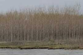 diepresse.com Petrowa