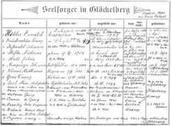 kohoutikriz.org Petschl