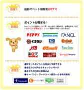 kodukai.skr.jp Petse