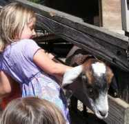 mikesbaby.com Petting