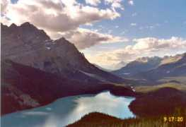 Peyto