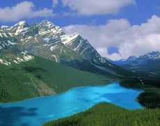 Peyto