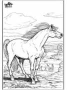 jetztmalen.de Pferd